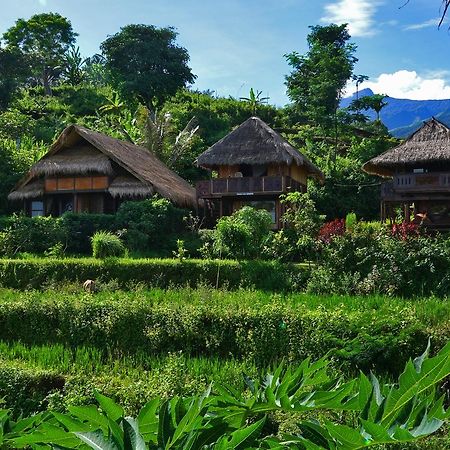 Hotel Rinjani Mountain Garden Bayan Exterior foto