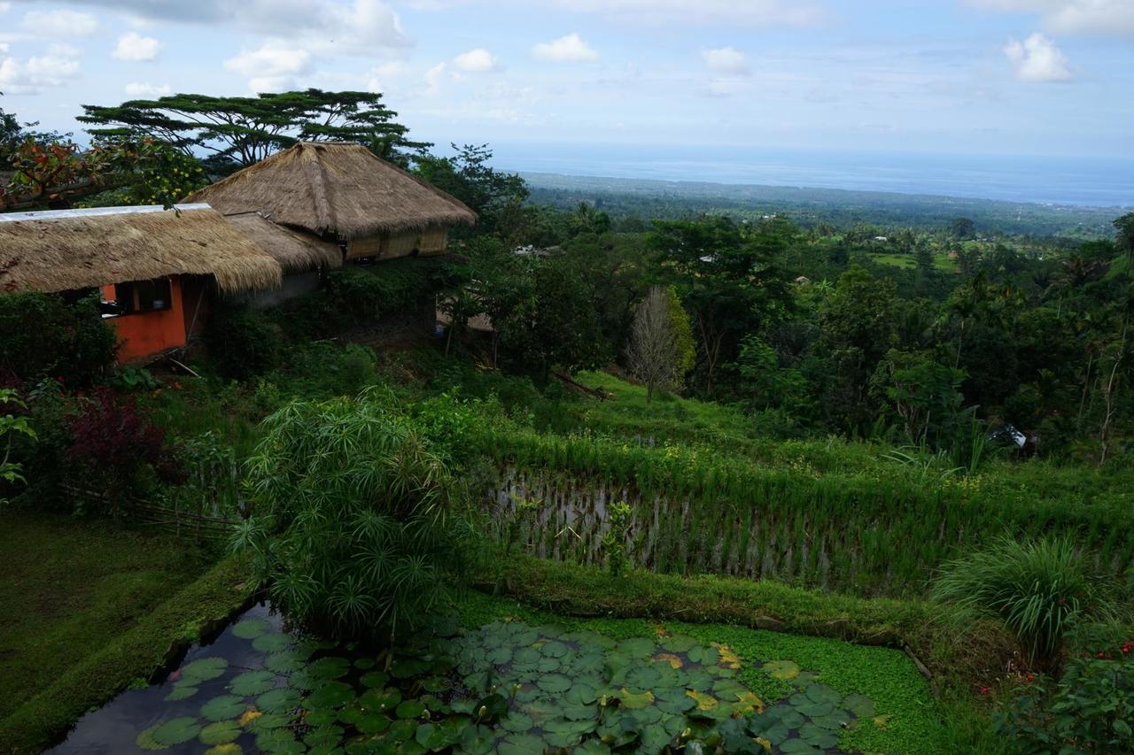 Hotel Rinjani Mountain Garden Bayan Exterior foto