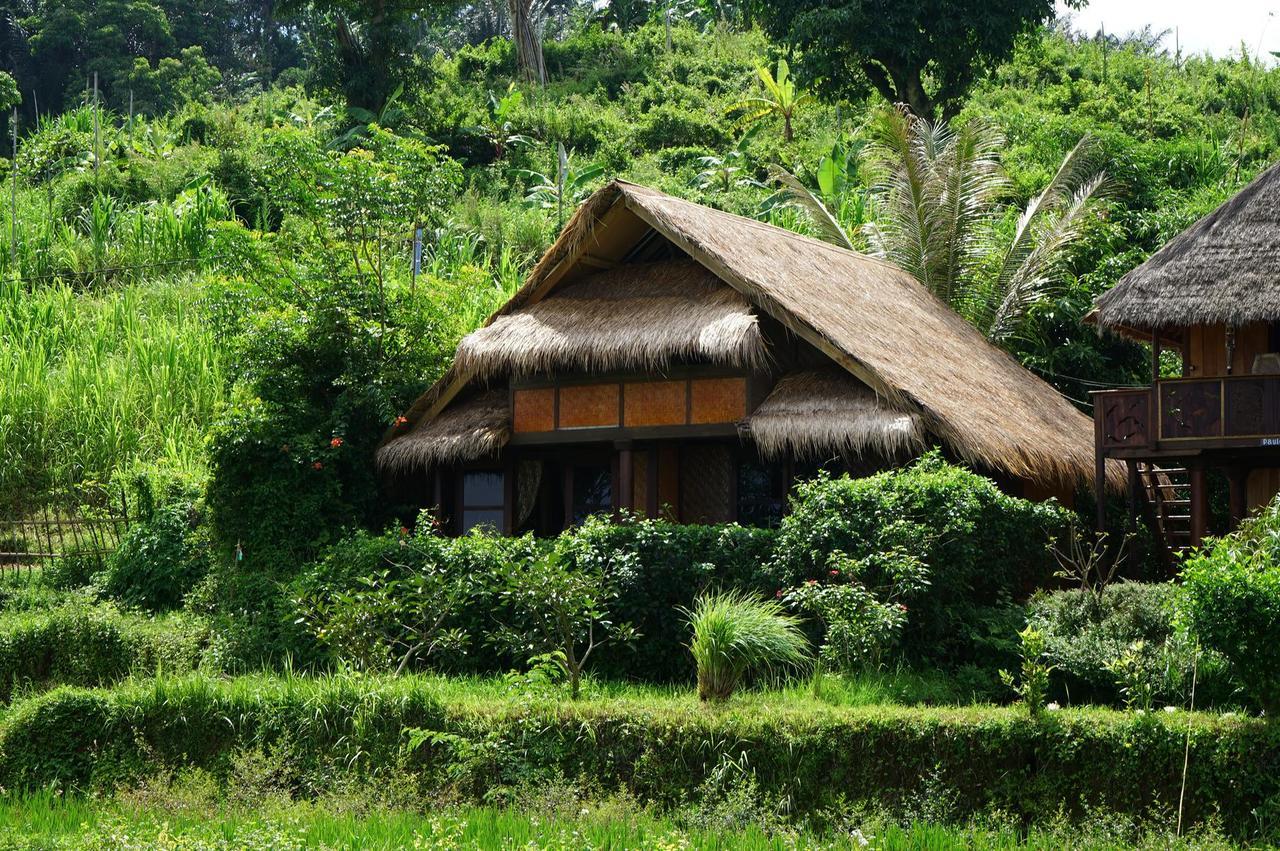Hotel Rinjani Mountain Garden Bayan Exterior foto